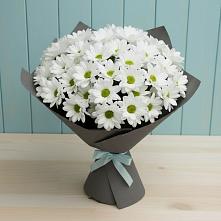 Букет цветов из:  Хризантемы #REPLACE_PRED# Гривенской