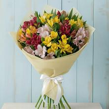 Букет цветов из:  Альстромерии в Гривенской